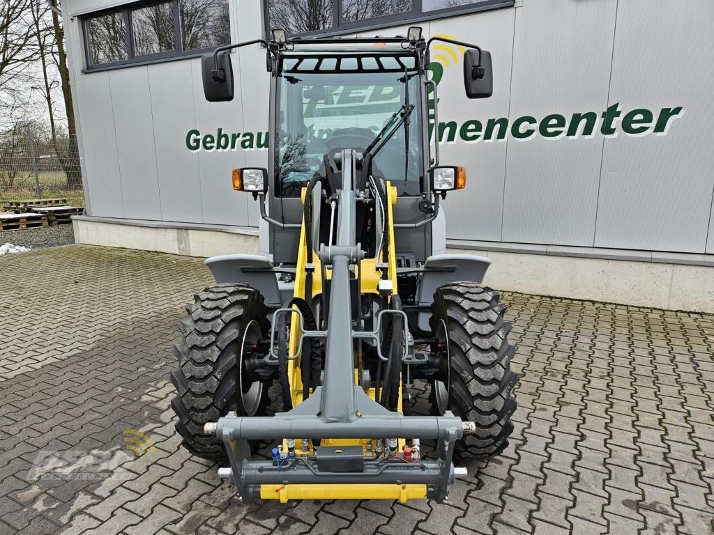 Radlader of the type Kramer 5050, Neumaschine in Neuenkirchen-Vörden (Picture 3)