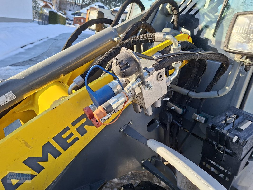 Radlader del tipo Kramer 5065 30 km/h, Highflow-Hydraulik, Gebrauchtmaschine en Vorchdorf (Imagen 7)