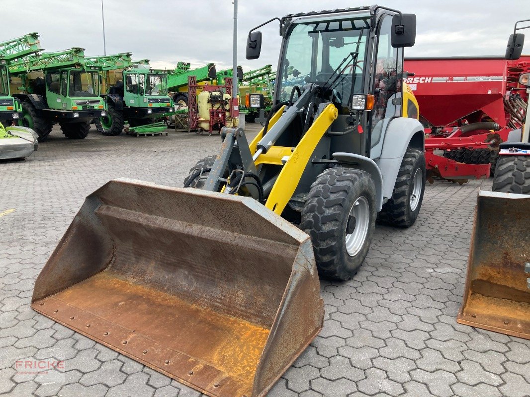 Radlader του τύπου Kramer 5065, Gebrauchtmaschine σε Bockel - Gyhum (Φωτογραφία 2)