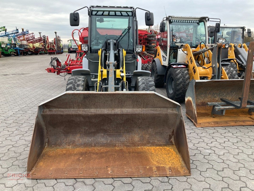 Radlader του τύπου Kramer 5065, Gebrauchtmaschine σε Bockel - Gyhum (Φωτογραφία 3)