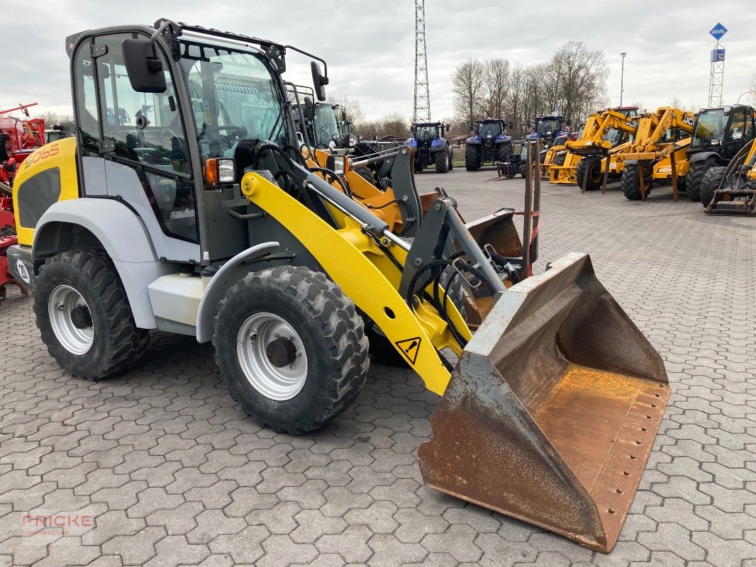 Radlader του τύπου Kramer 5065, Gebrauchtmaschine σε Bockel - Gyhum (Φωτογραφία 4)