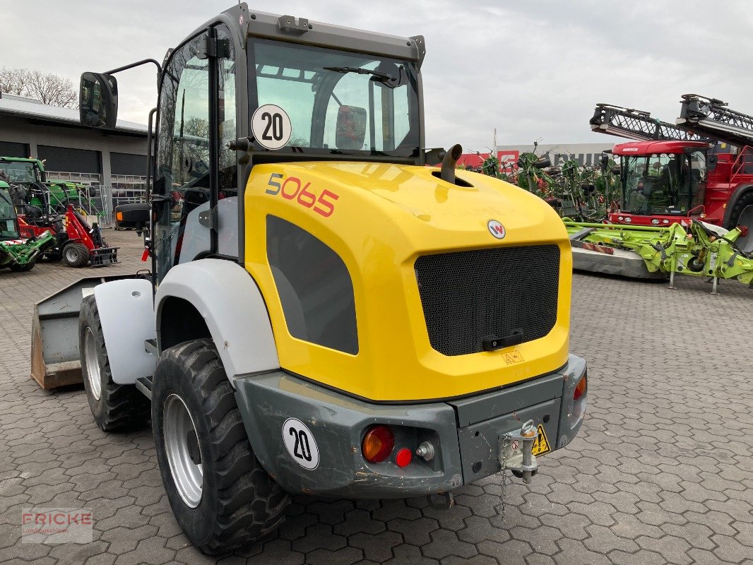 Radlader του τύπου Kramer 5065, Gebrauchtmaschine σε Bockel - Gyhum (Φωτογραφία 7)