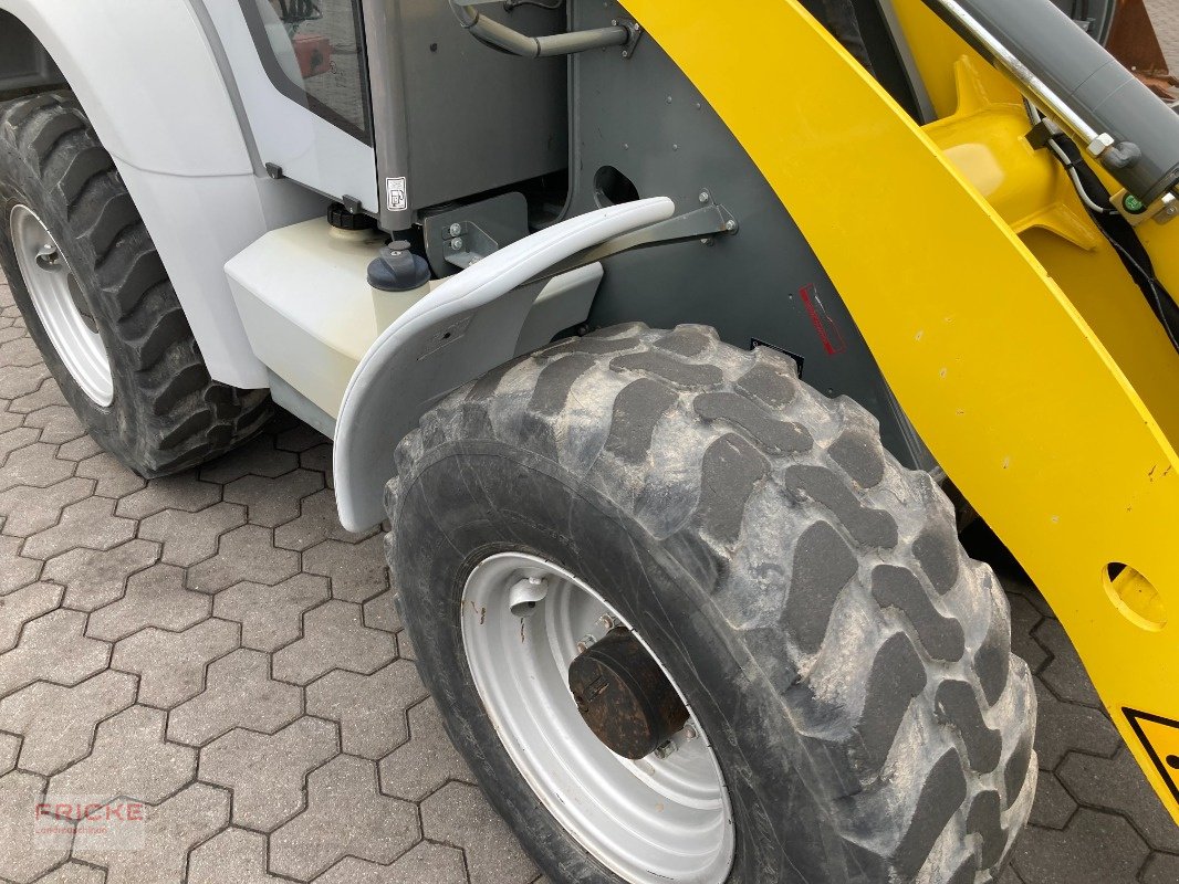 Radlader του τύπου Kramer 5065, Gebrauchtmaschine σε Bockel - Gyhum (Φωτογραφία 10)