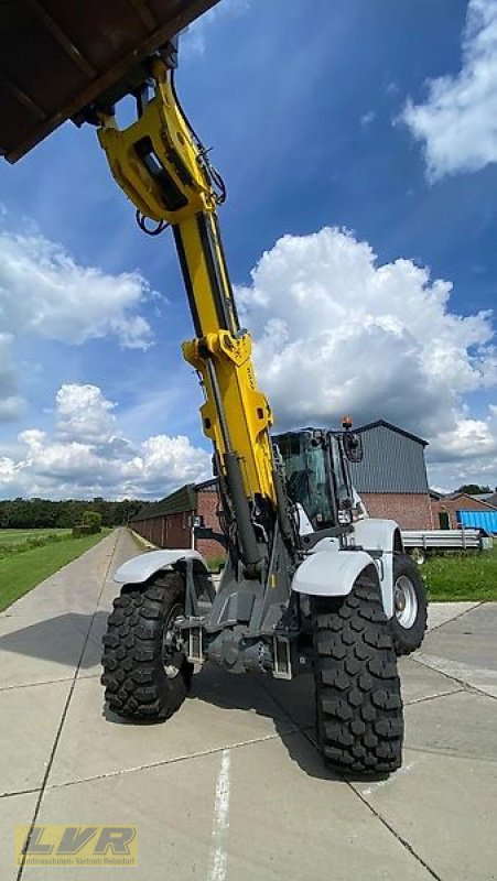 Radlader of the type Kramer 8145 T, Gebrauchtmaschine in Steinau-Rebsdorf (Picture 12)
