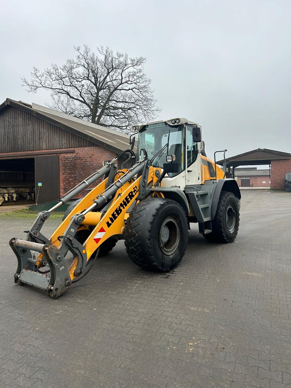 Radlader vrste Liebherr L 538 P, Gebrauchtmaschine v Metelen (Slika 7)