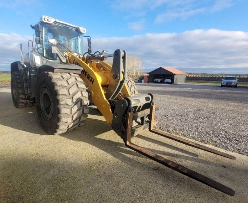 Radlader of the type Liebherr L 550 XPower, Gebrauchtmaschine in Vojens (Picture 4)