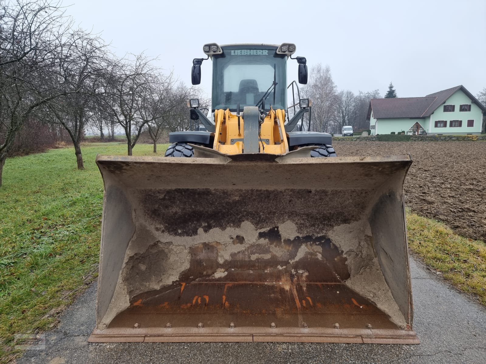Radlader Türe ait Liebherr L 556, Gebrauchtmaschine içinde Deutsch - Goritz (resim 3)