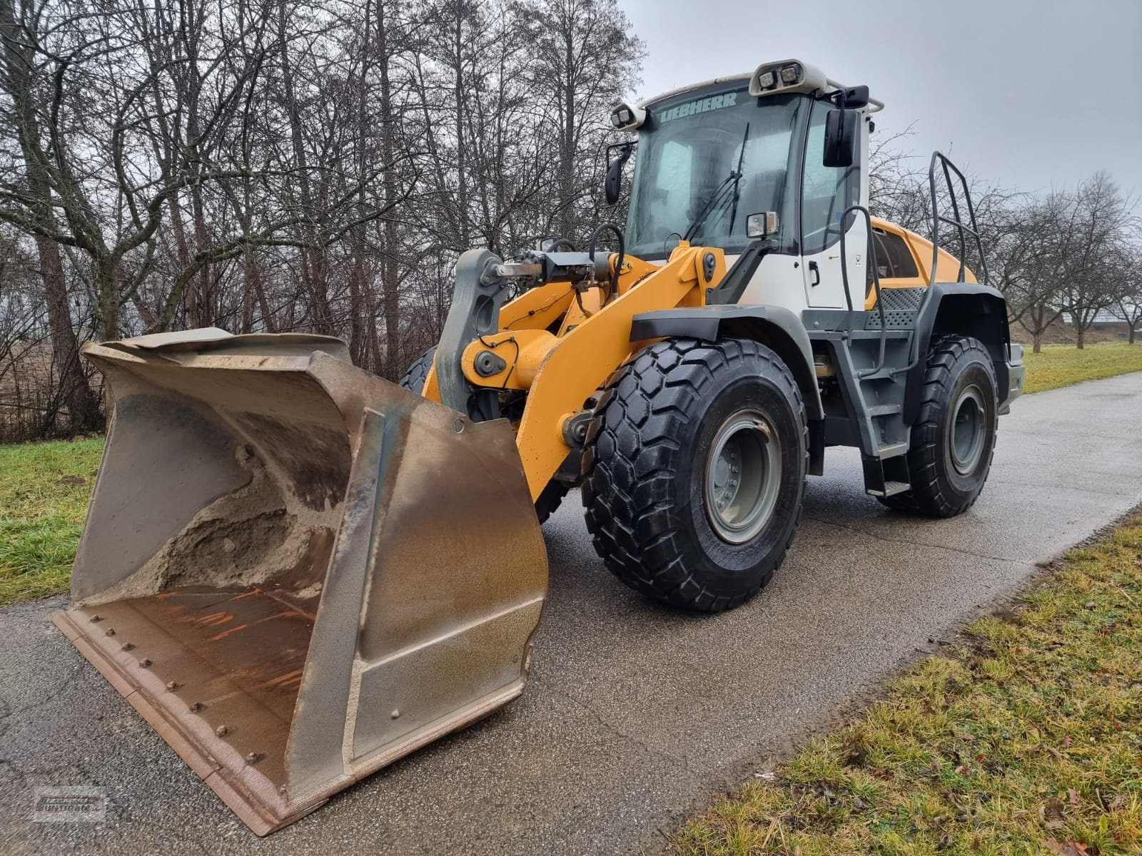 Radlader Türe ait Liebherr L 556, Gebrauchtmaschine içinde Deutsch - Goritz (resim 4)