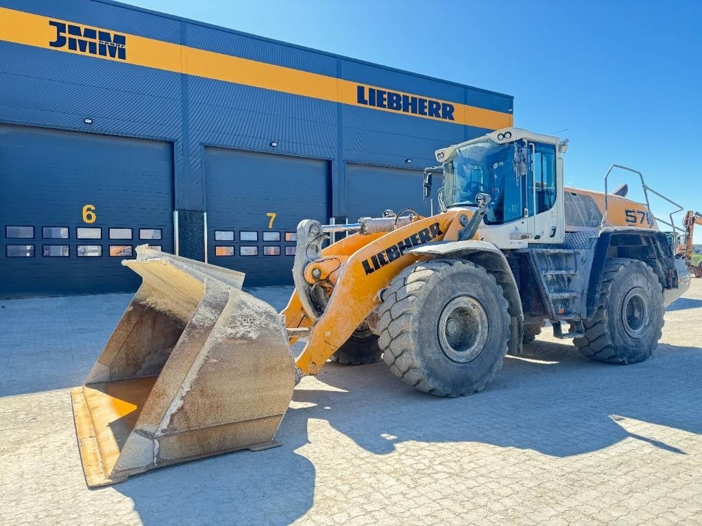 Radlader tipa Liebherr L 576, Gebrauchtmaschine u Vojens (Slika 3)