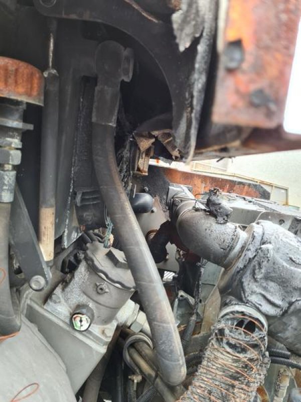 Radlader of the type Paus SL655, Gebrauchtmaschine in Fürstenstein (Picture 13)