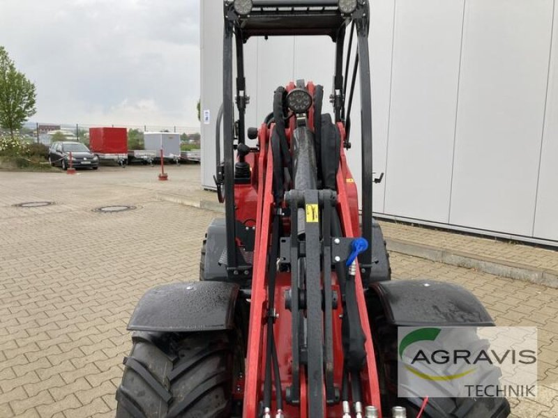 Radlader от тип Schäffer 23E, Vorführmaschine в Nienburg (Снимка 10)