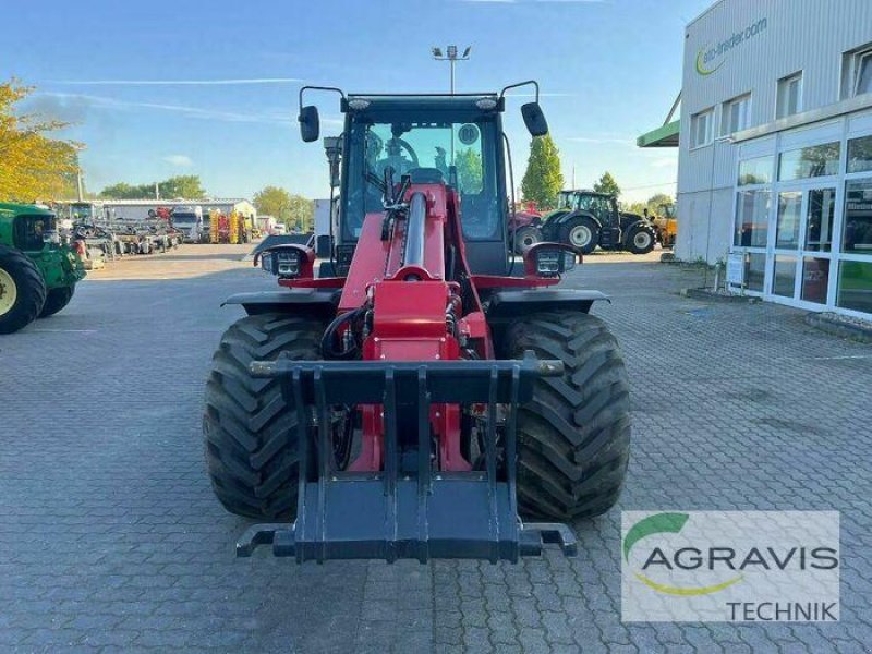 Radlader of the type Schäffer 8620 T-2, Gebrauchtmaschine in Calbe / Saale (Picture 9)