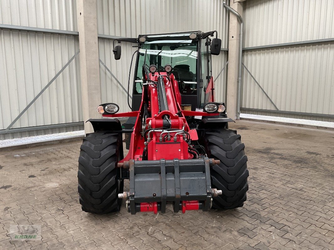 Radlader του τύπου Schäffer 8620T, Gebrauchtmaschine σε Spelle (Φωτογραφία 3)