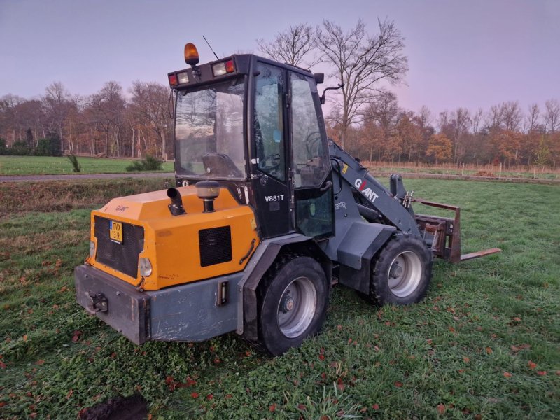 Radlader Türe ait Sonstige ciant giant V 881 T, Gebrauchtmaschine içinde Oirschot