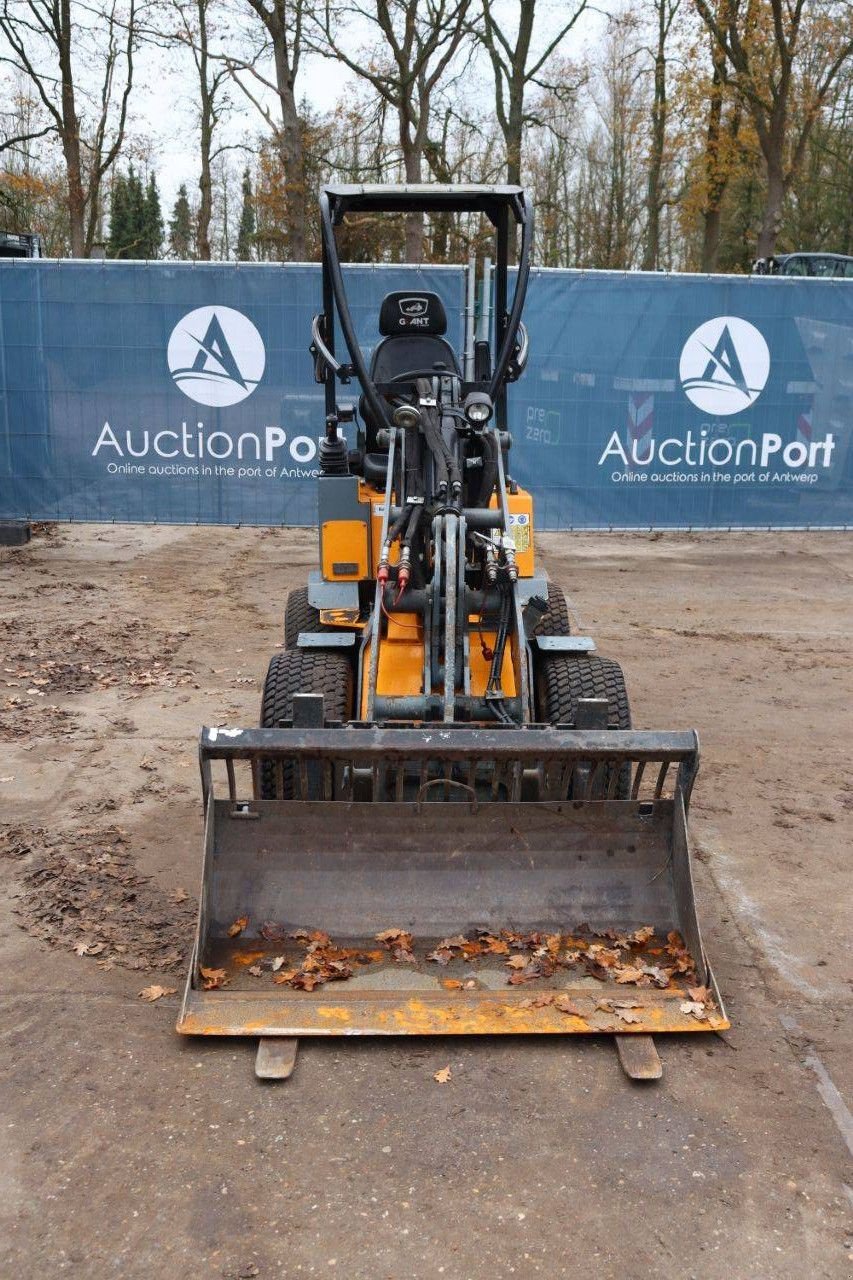 Radlader Türe ait Sonstige Giant D254SW, Gebrauchtmaschine içinde Antwerpen (resim 9)