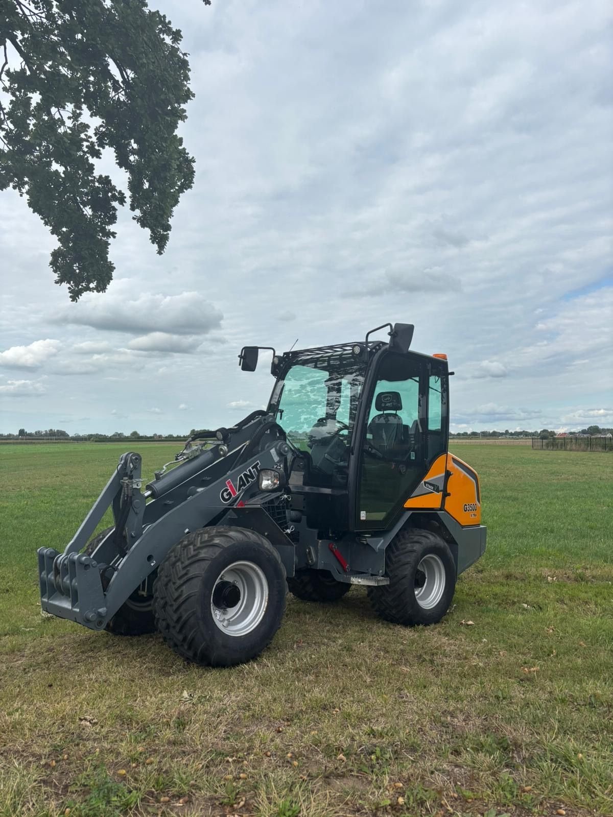 Radlader des Typs Sonstige Giant G3500extra, Gebrauchtmaschine in Wadenoijen (Bild 1)