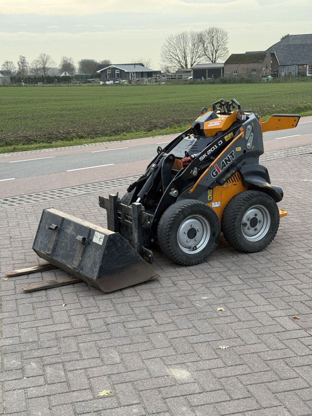 Radlader van het type Sonstige Giant Sk201, Gebrauchtmaschine in Wadenoijen (Foto 1)