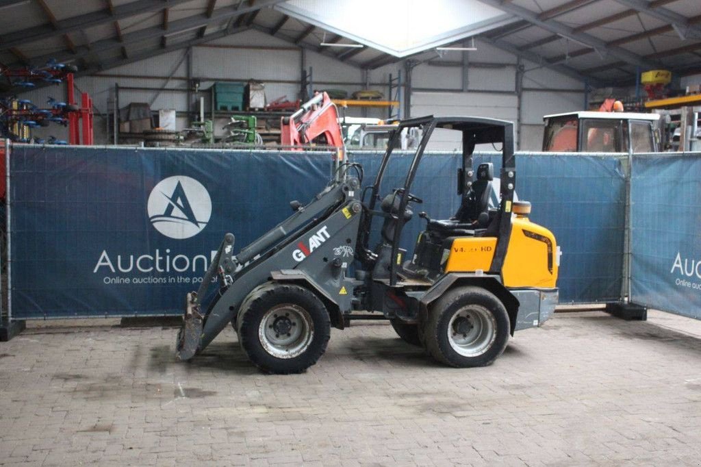Radlader of the type Sonstige Giant V452T HD, Gebrauchtmaschine in Antwerpen (Picture 1)