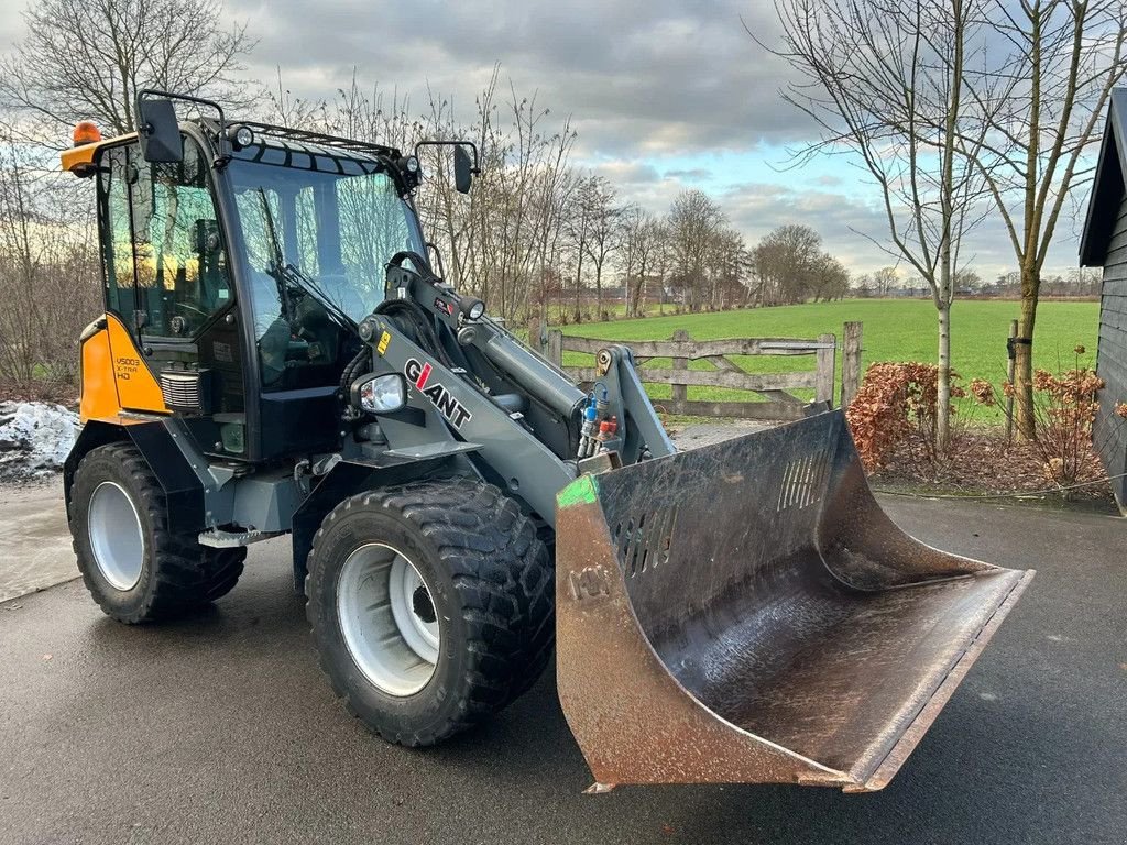 Radlader typu Sonstige Giant V5003 X-tra HD, Gebrauchtmaschine v HA (Obrázek 7)