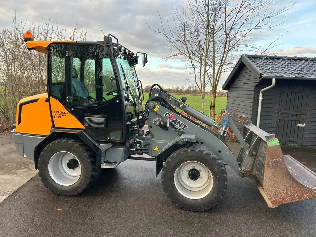Radlader typu Sonstige Giant V5003 X-tra HD, Gebrauchtmaschine v HA (Obrázek 1)