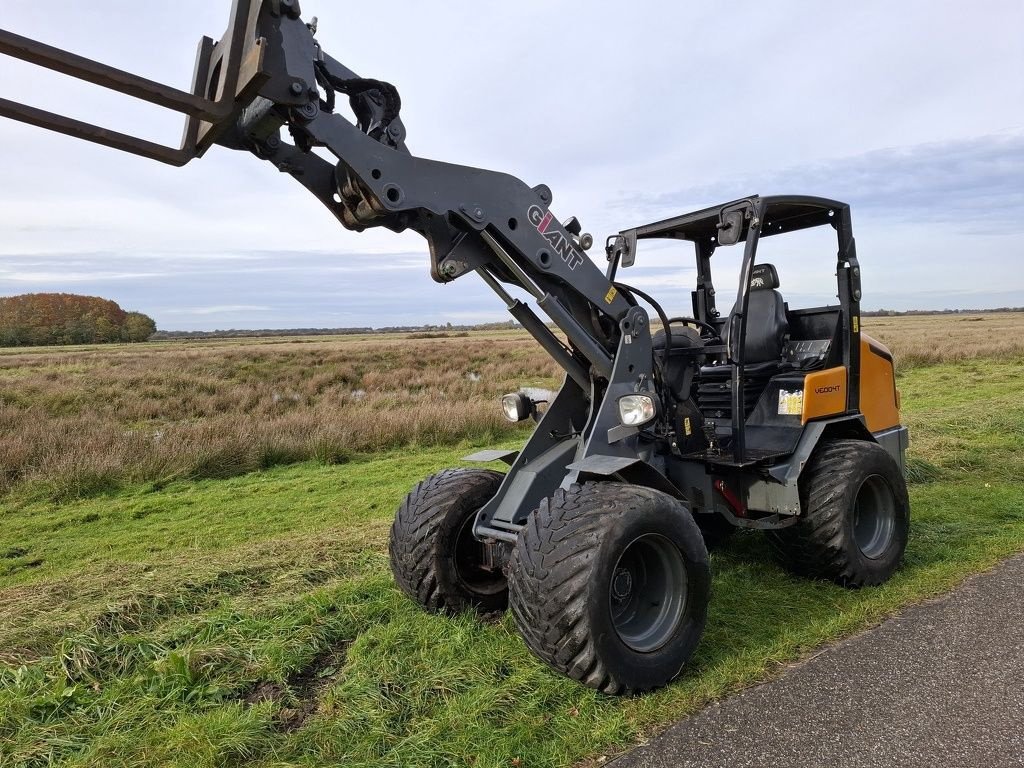 Radlader от тип Sonstige Giant V6004T, Gebrauchtmaschine в Kolham (Снимка 2)