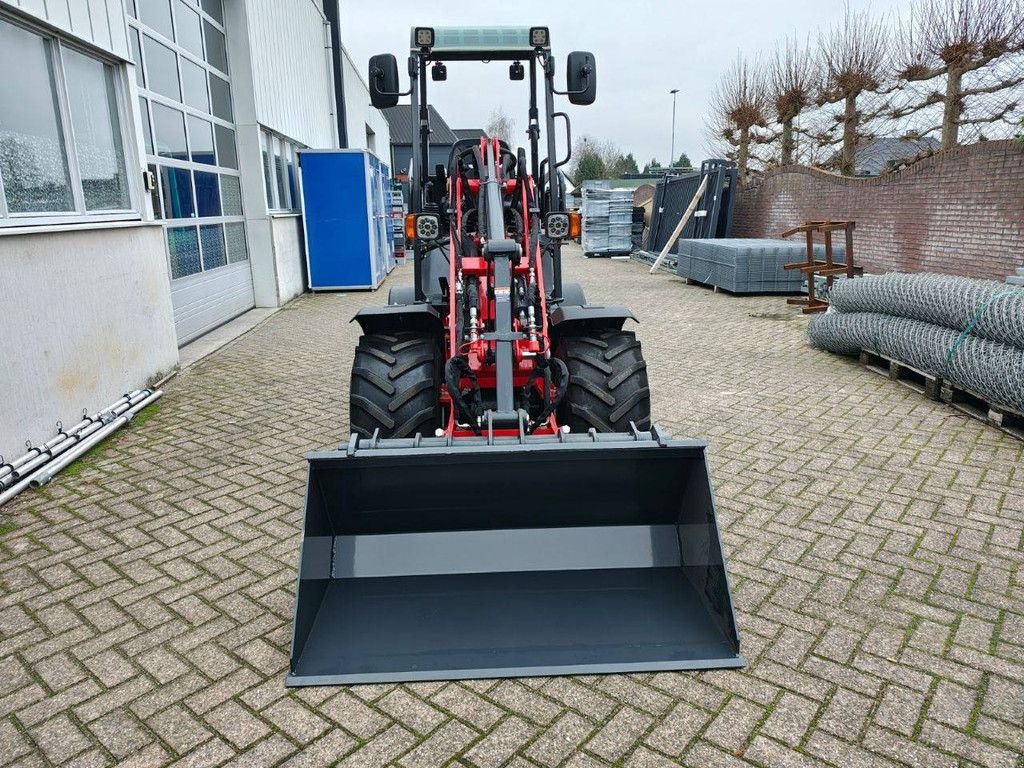 Radlader типа Sonstige Panther W1160, Gebrauchtmaschine в Antwerpen (Фотография 10)