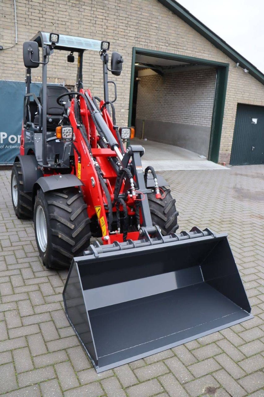 Radlader типа Sonstige Panther W25, Neumaschine в Antwerpen (Фотография 8)