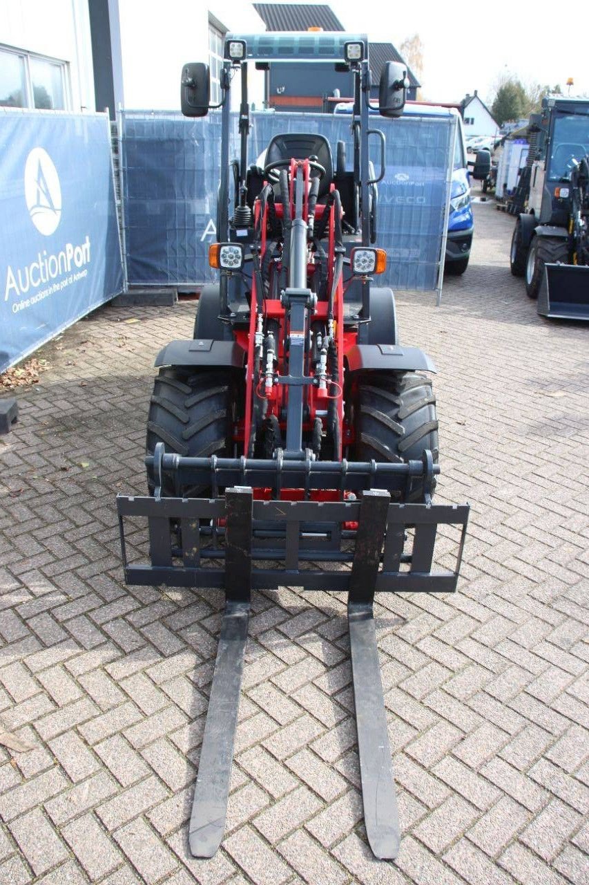 Radlader typu Sonstige Panther W25, Neumaschine v Antwerpen (Obrázek 8)