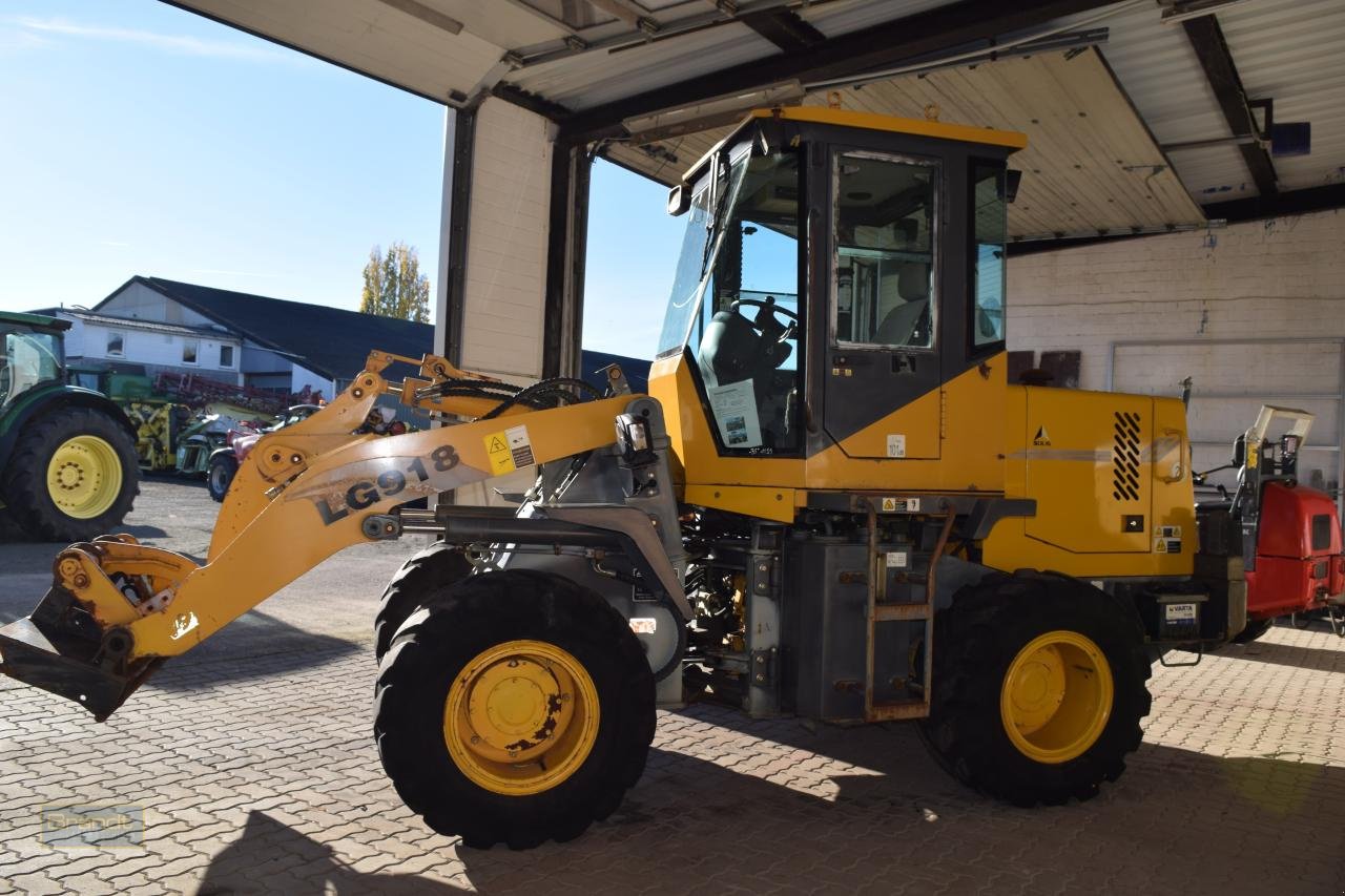 Radlader typu Sonstige SDLG LG 918, Gebrauchtmaschine v Oyten (Obrázek 1)