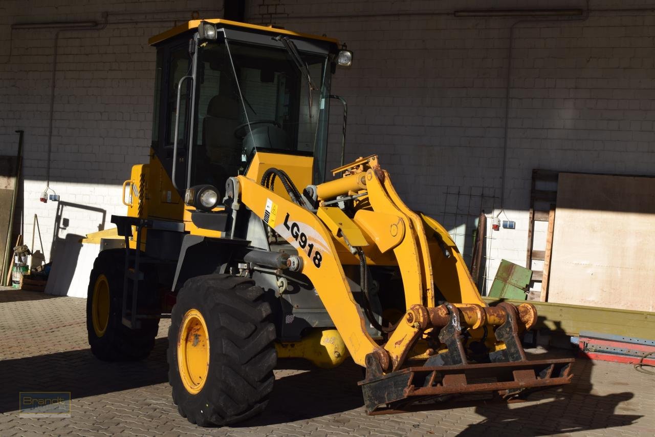 Radlader typu Sonstige SDLG LG 918, Gebrauchtmaschine v Oyten (Obrázek 4)