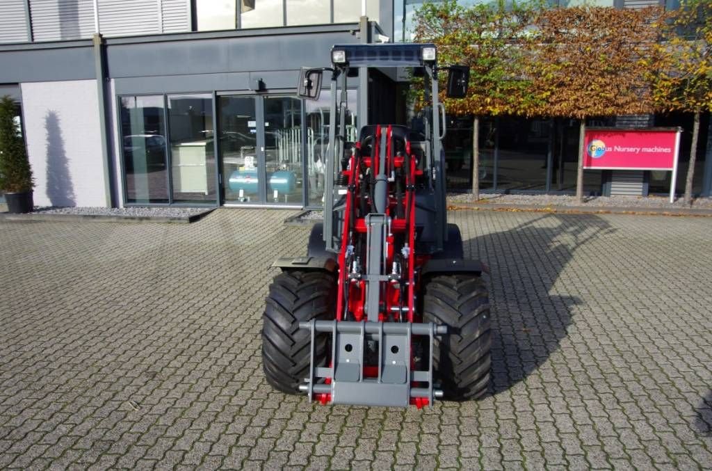 Radlader tip Sonstige Weidemann 1160 Special Minishovel, Neumaschine in Borne (Poză 4)