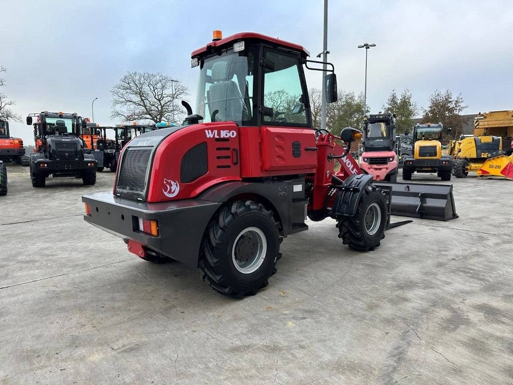 Radlader typu Sonstige WOLF WL160, Neumaschine w Antwerpen (Zdjęcie 4)