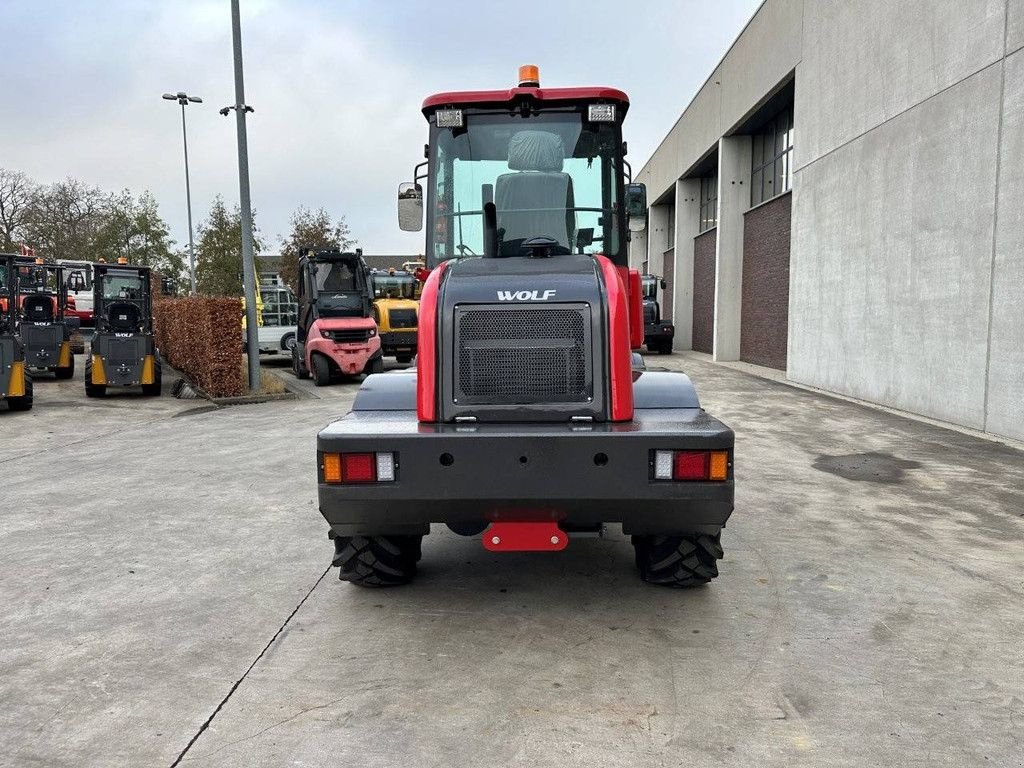 Radlader типа Sonstige WOLF WL160, Neumaschine в Antwerpen (Фотография 5)