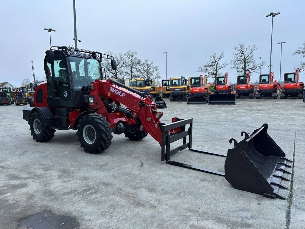 Radlader typu Sonstige WOLF WL816T, Neumaschine w Antwerpen (Zdjęcie 3)