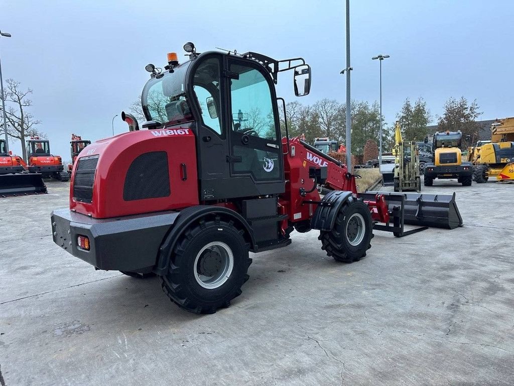 Radlader a típus Sonstige WOLF WL816T, Neumaschine ekkor: Antwerpen (Kép 4)