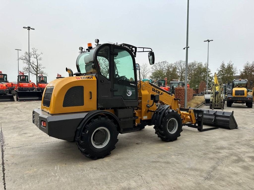 Radlader типа Sonstige WOLF WL816T, Neumaschine в Antwerpen (Фотография 4)