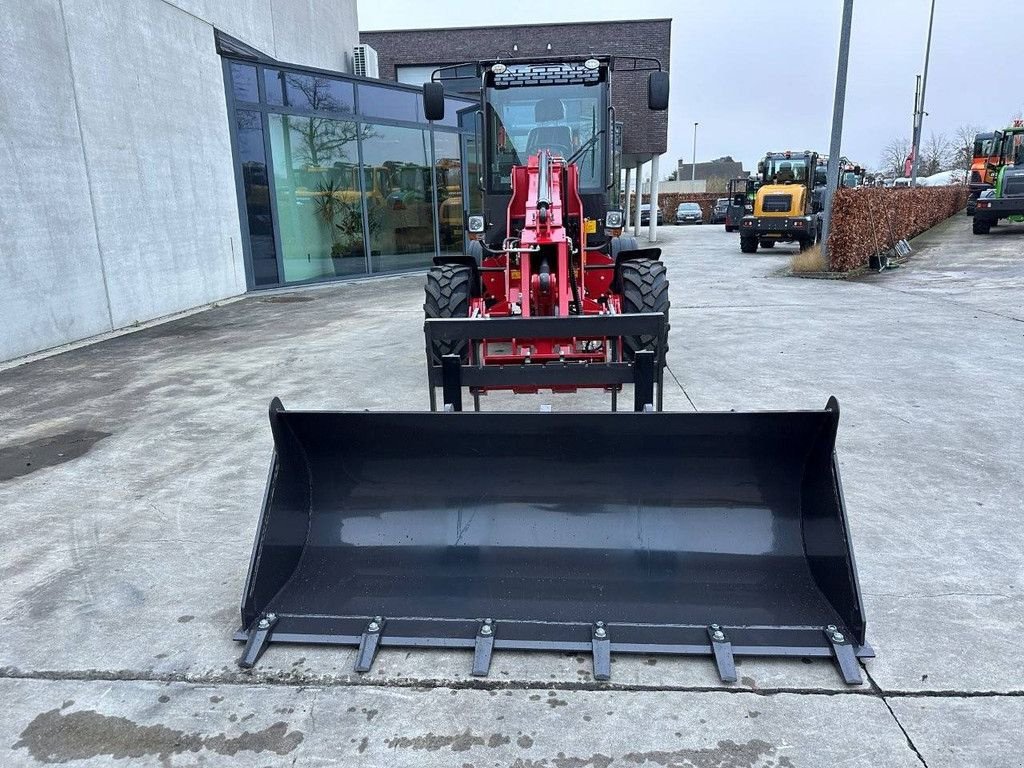Radlader des Typs Sonstige WOLF WL816T, Gebrauchtmaschine in Antwerpen (Bild 2)