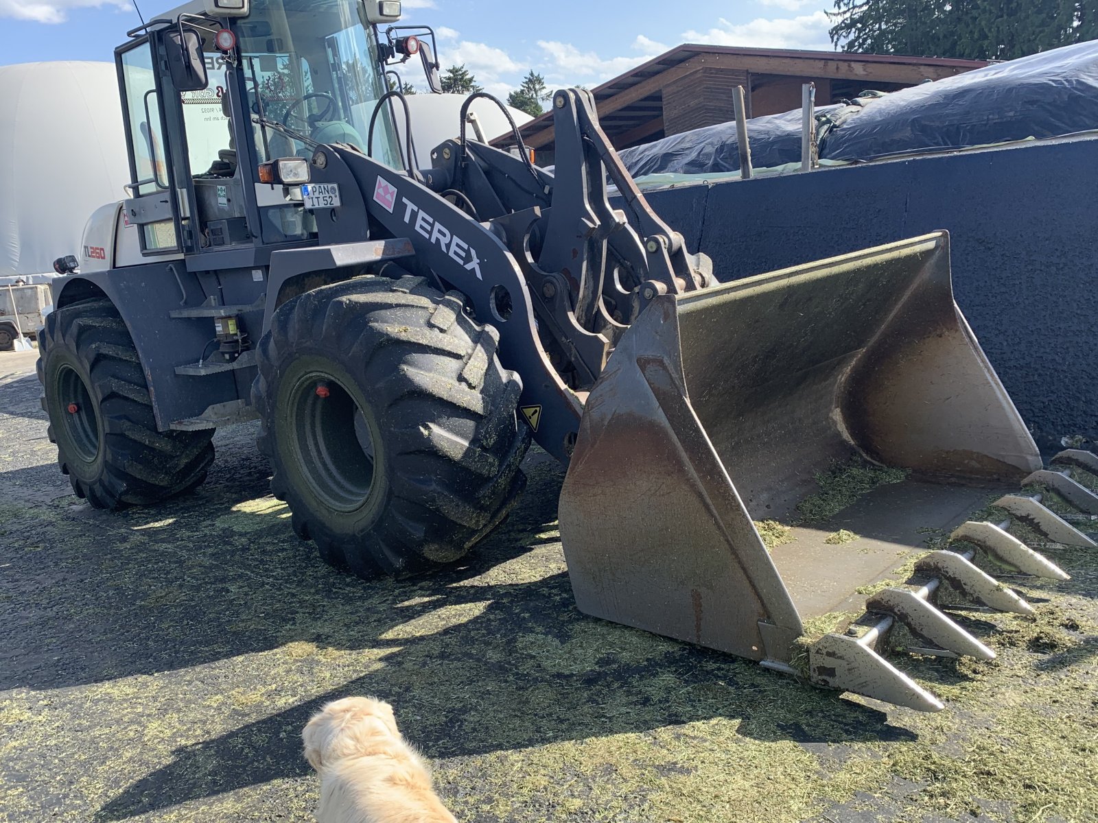 Radlader typu Terex TL 260, Gebrauchtmaschine v Simbach Inn (Obrázek 1)