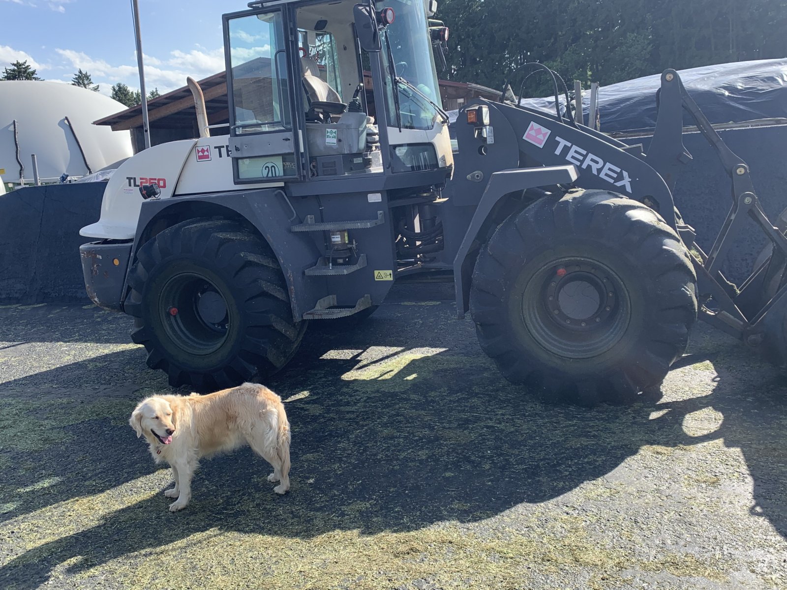 Radlader typu Terex TL 260, Gebrauchtmaschine v Simbach Inn (Obrázek 4)