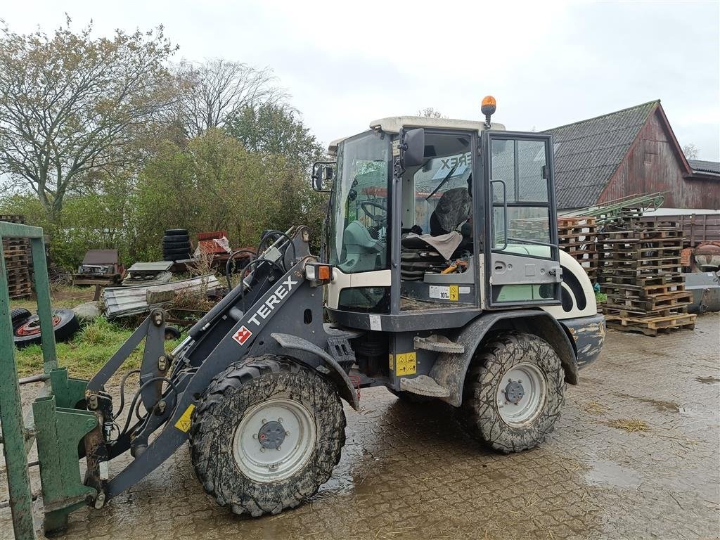 Radlader van het type Terex TL 65 skovl & pallegafler, Gebrauchtmaschine in Egtved (Foto 1)