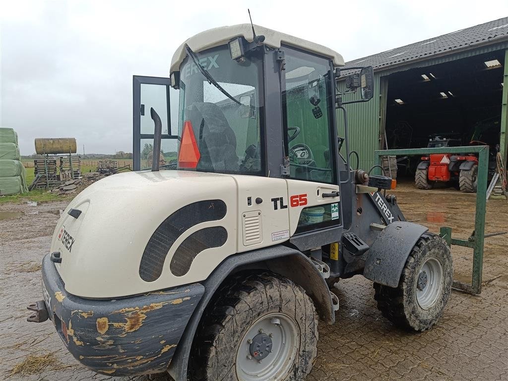 Radlader van het type Terex TL 65 skovl & pallegafler, Gebrauchtmaschine in Egtved (Foto 4)