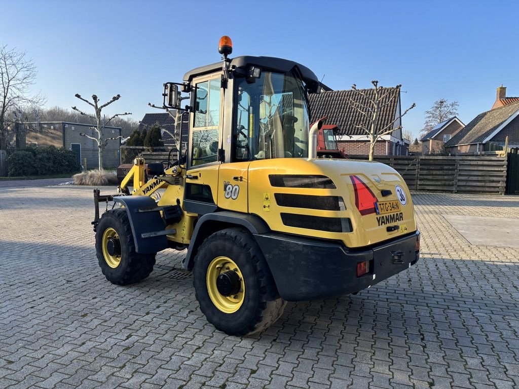 Radlader a típus Terex Yanmar V80 met Bak en Lepels, 40km High Speed uitv., Gebrauchtmaschine ekkor: WYNJEWOUDE (Kép 4)