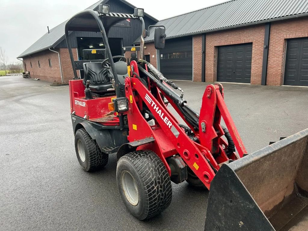 Radlader des Typs Thaler 2022/A, Gebrauchtmaschine in HA (Bild 5)