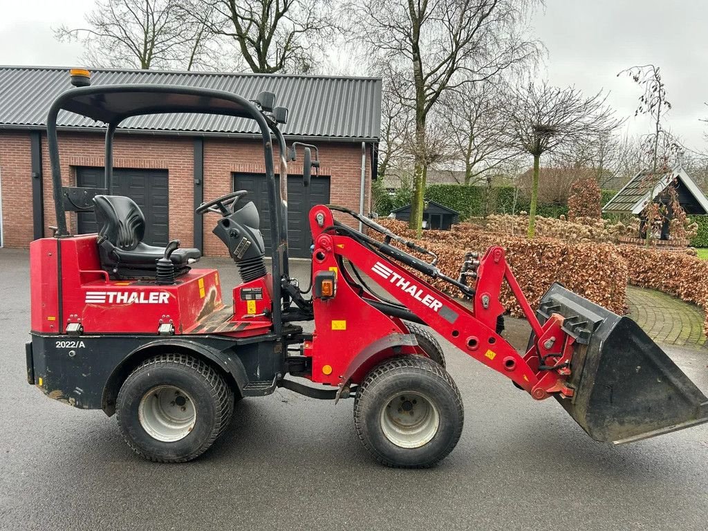 Radlader des Typs Thaler 2022/A, Gebrauchtmaschine in HA (Bild 1)