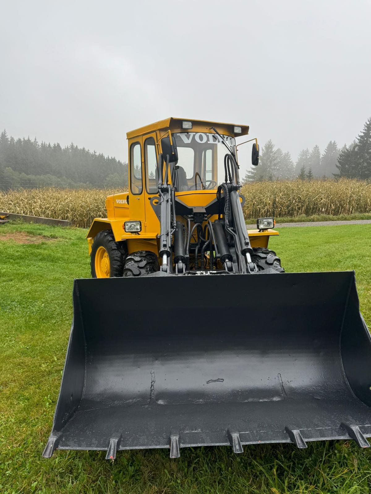 Radlader of the type Volvo 4200, Gebrauchtmaschine in Oberneukirchen (Picture 1)