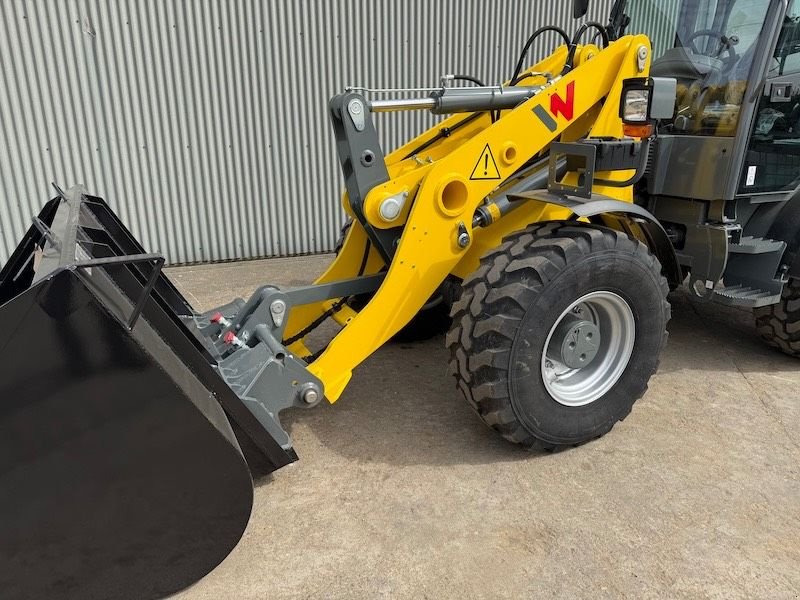 Radlader типа Wacker Neuson WL 60, Neumaschine в Beveren-Waas Melsele (Фотография 5)