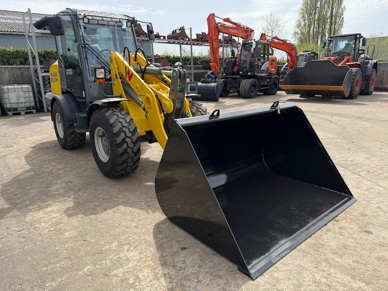 Radlader типа Wacker Neuson WL 60, Neumaschine в Beveren-Waas Melsele (Фотография 8)