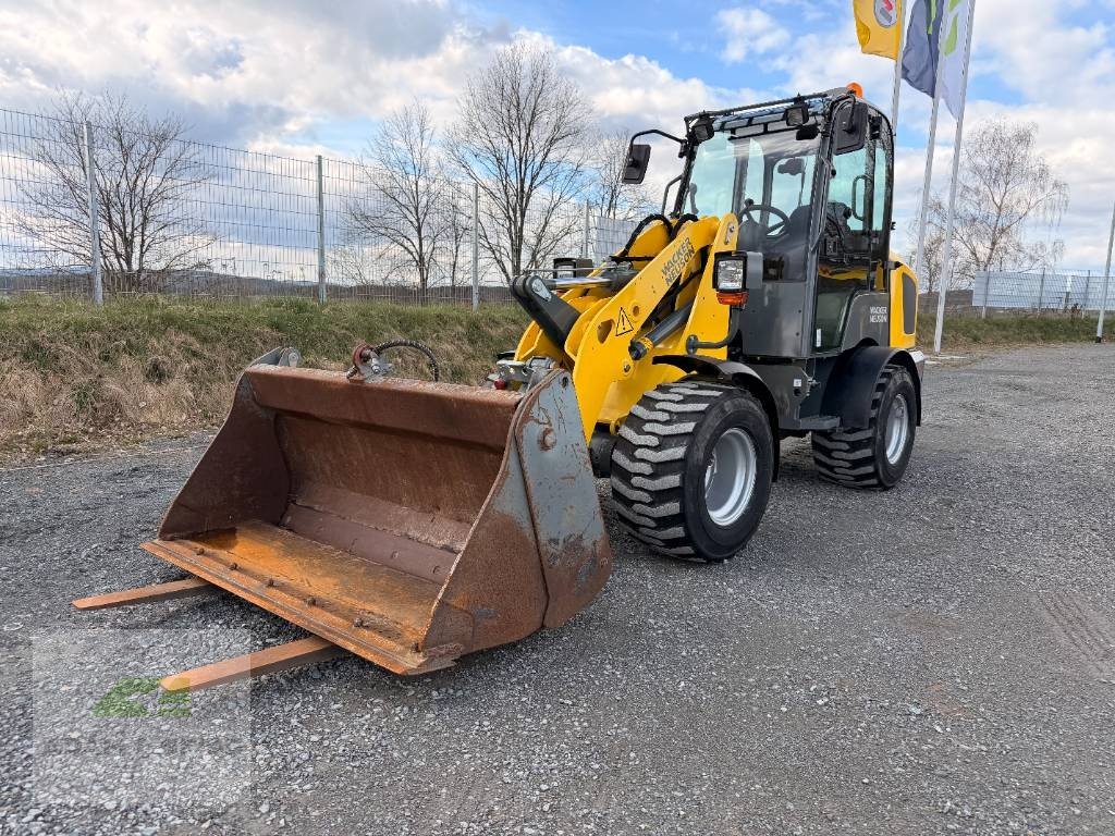 Radlader du type Wacker Neuson WL32, Gebrauchtmaschine en Neudrossenfeld (Photo 2)