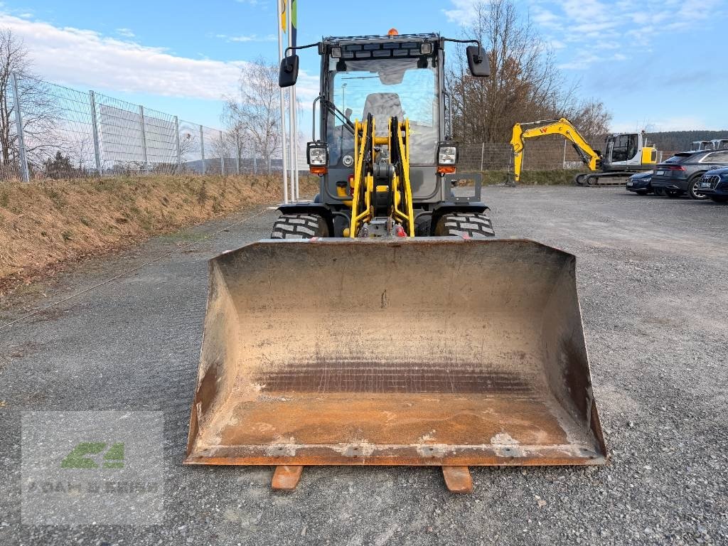Radlader des Typs Wacker Neuson WL38, Gebrauchtmaschine in Neudrossenfeld (Bild 3)