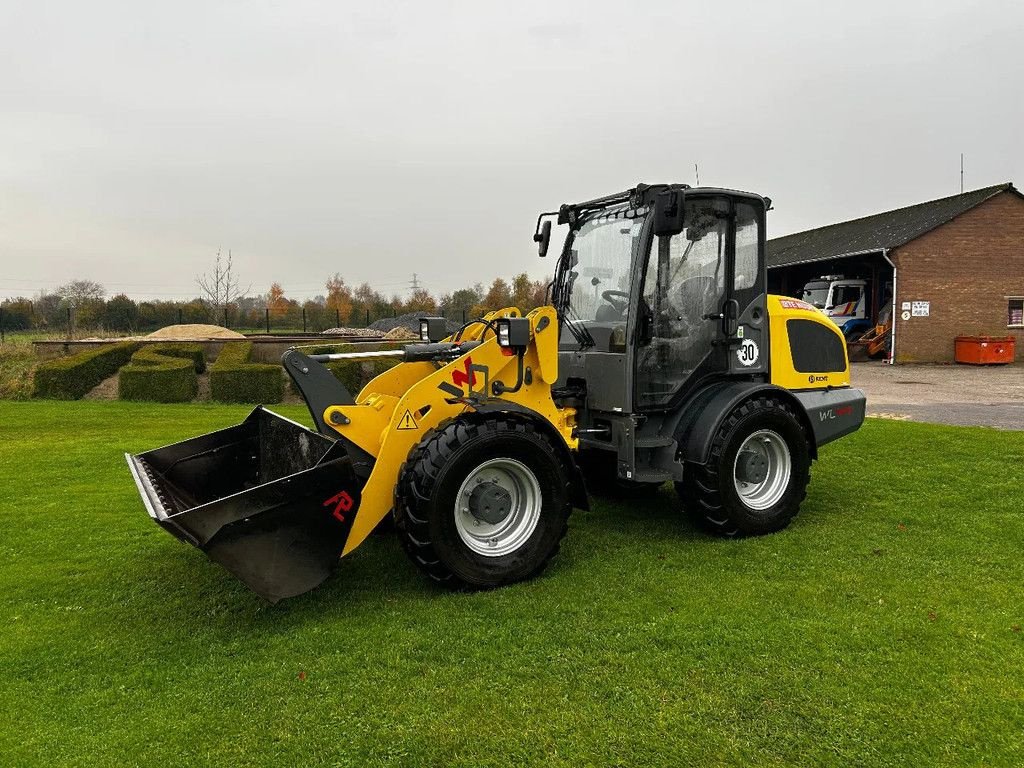 Radlader of the type Wacker Neuson WL44, Gebrauchtmaschine in Didam (Picture 3)